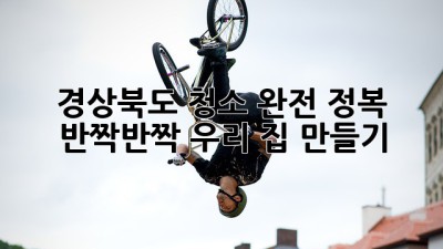 ✨경상북도 청소 완전 정복✨: ✨반짝반짝✨ 우리 집 만들기!🏡