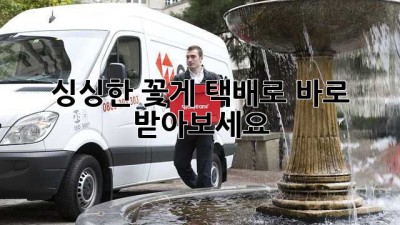 싱싱한 꽃게, 택배로 바로 받아보세요!
