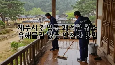 제주시 건입동 쾌적한 청소: 유해물질 없는 안전한 방법